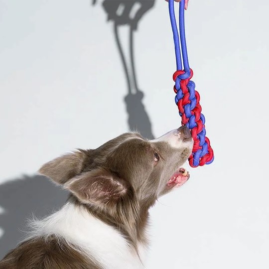 tug toys for dogs