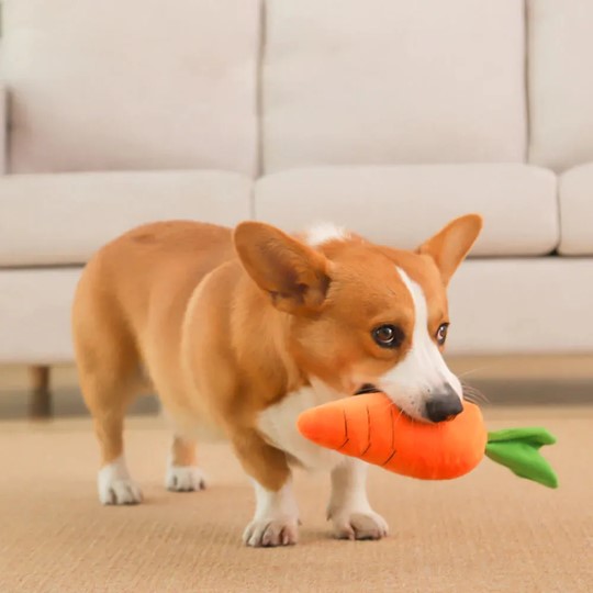 plush squeaky dog toy