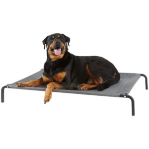 beds for dogs