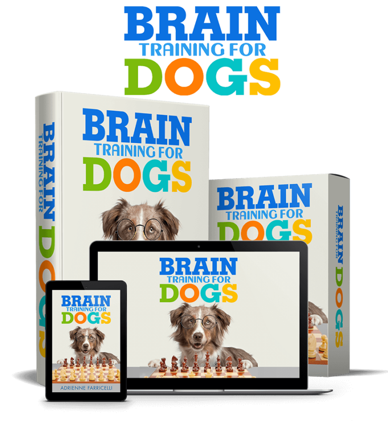 brain training for dogs