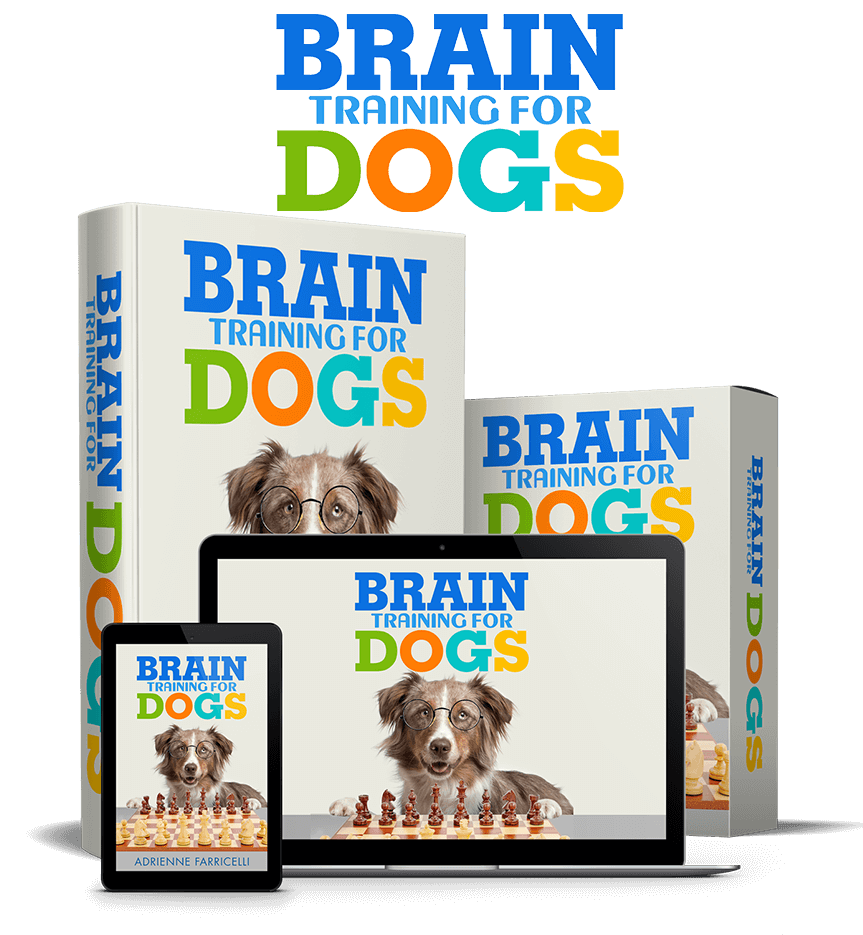 brain training for dogs