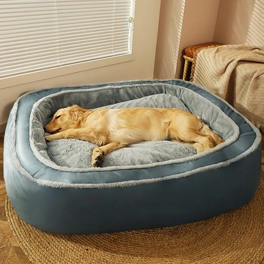 orthopaedic dog beds