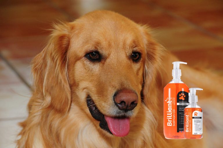 best salmon oil for dogs